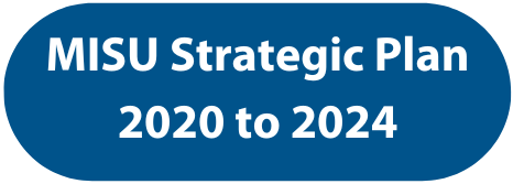 Strategic Plan Button.png